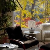 Monochromatic Modernism